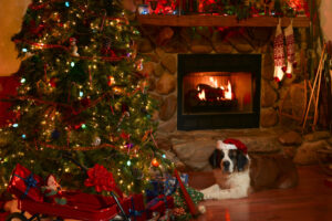Pets And The Holiday Season
