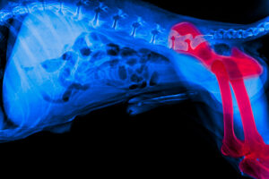 Surgery-free Treatment