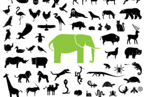 Topo 9 Sacred Animals and Animal Symbolism