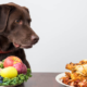 March is Pet Nutrition Month!