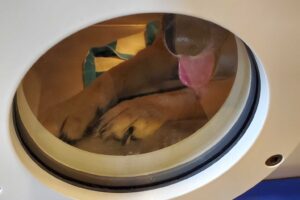 Hyperbaric Oxygen Therapy