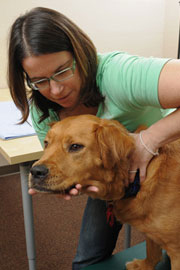 Lisa Koenig, DC Applied Kinesiology