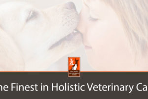 Holistic Veterinary Care